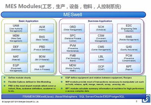 上海LCD/LCM行业MES软件开发的关键趋势与应用